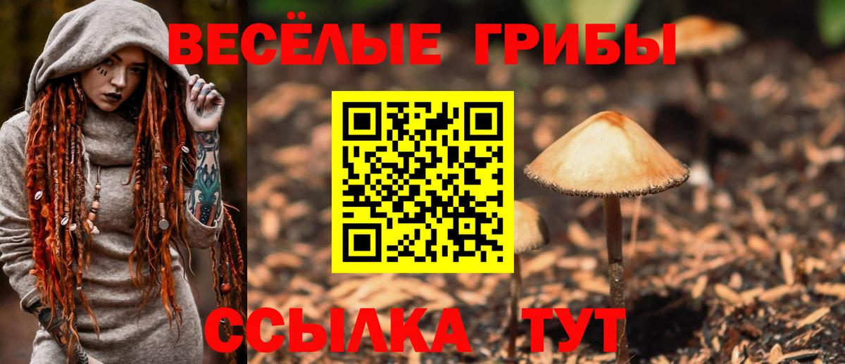 Псилоцибиновые грибы Magic Shrooms  Вход с VPN  Кохма  Галлюциногенные грибы мухоморы 
